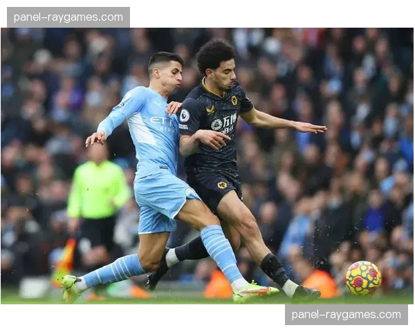 官方：里昂中场核心卡克雷因累计黄牌停赛，将缺席下轮比赛